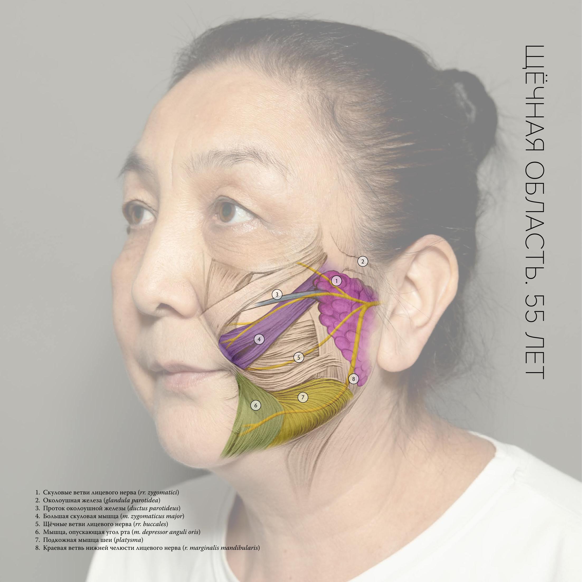 Облик file-3.jpg